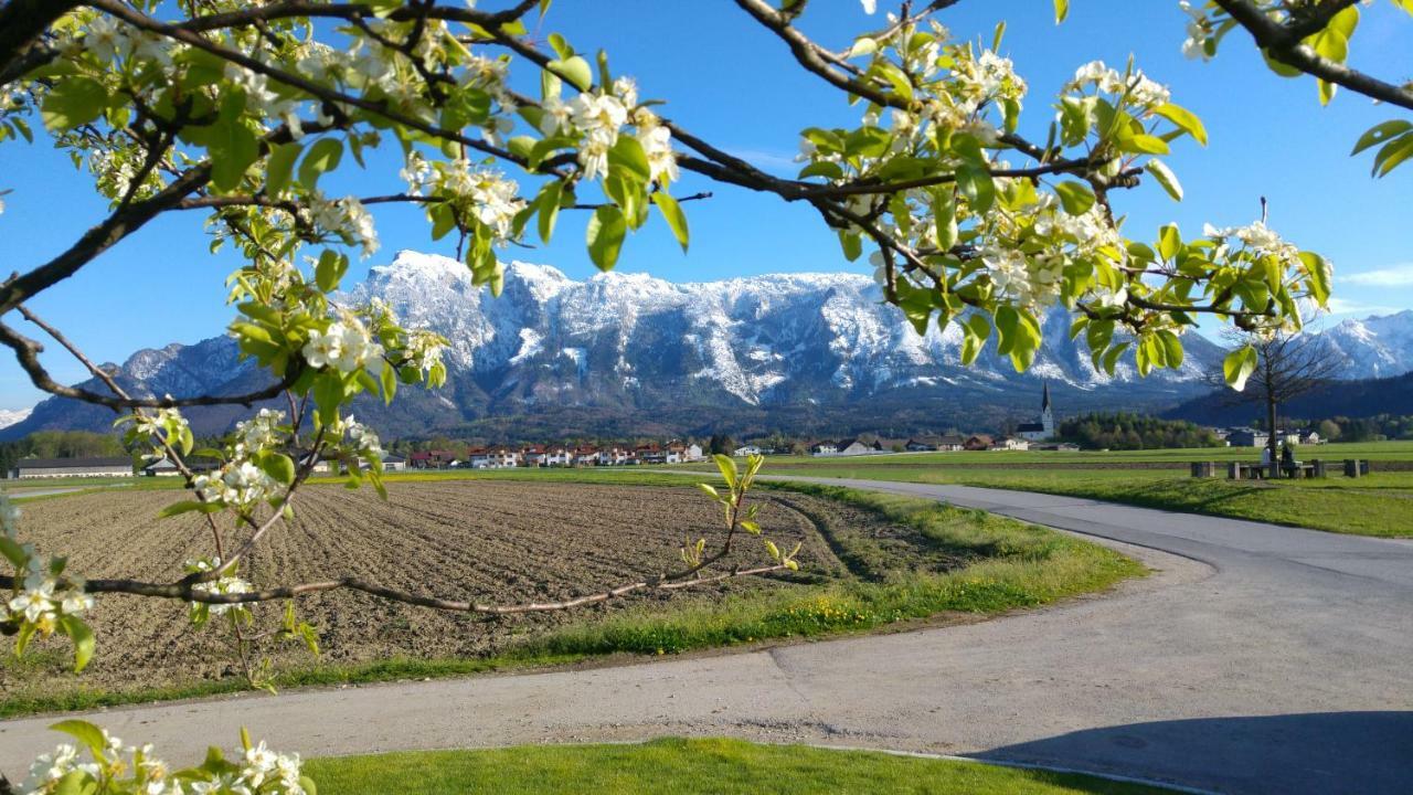Vor den Toren Salzburgs Wals-Siezenheim Buitenkant foto